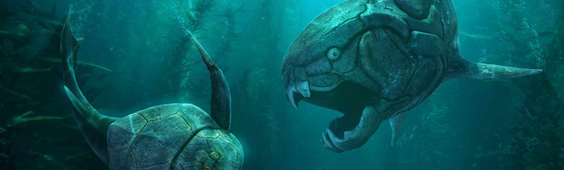 Devonian Seas VR